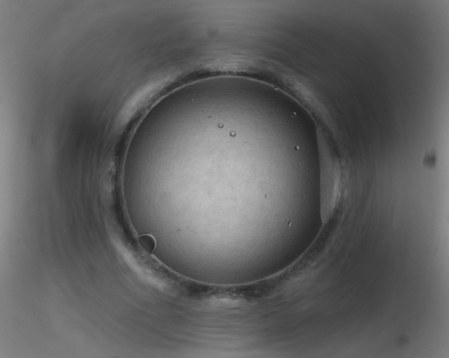 X0000116790586200912181256