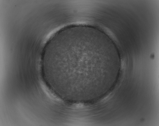 X0000116790588200912181256