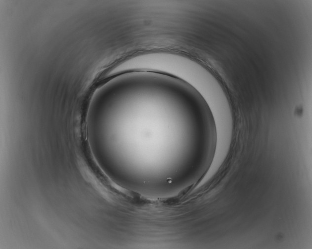 X0000116790589200912181256