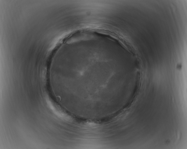 X0000116790592200912181256