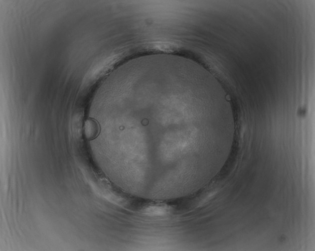 X0000116790595200912181256