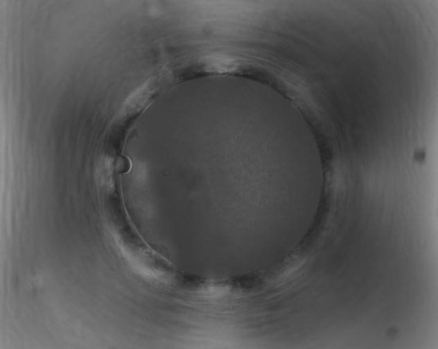 X0000116790598200912181256