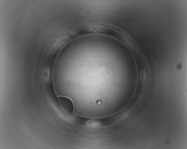 X0000116790602200912181256
