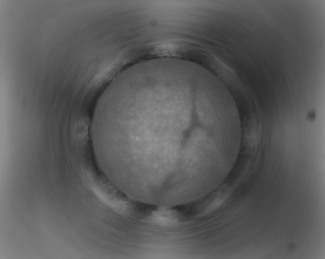 X0000116790603200912181256