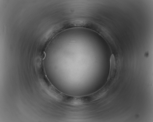 X0000116790604200912181256