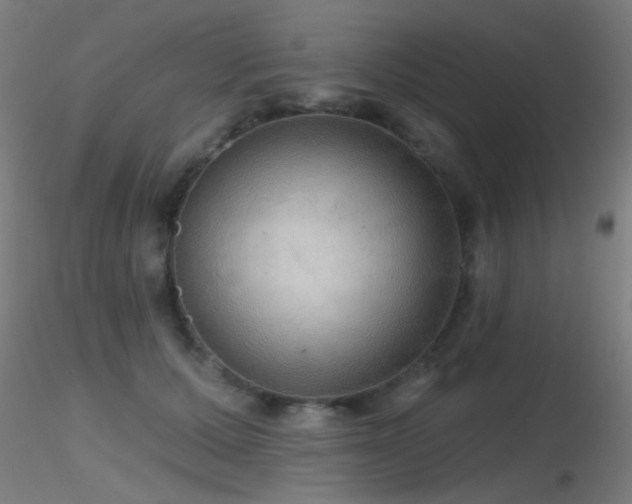 X0000116790607200912181255