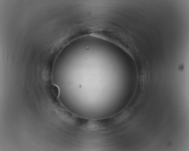 X0000116790608200912181255