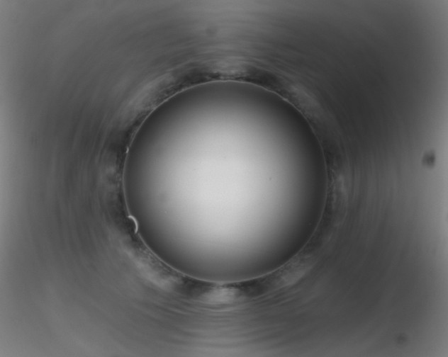 X0000116790609200912181255