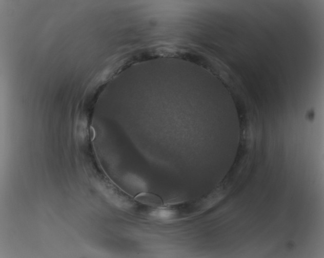 X0000116790610200912181255