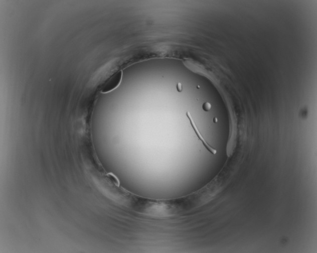 X0000116790611200912181255