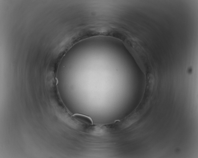 X0000116790612200912181255