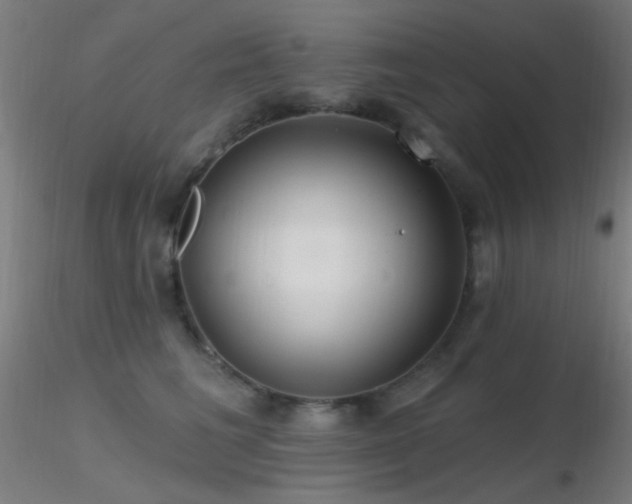 X0000116790613200912181255