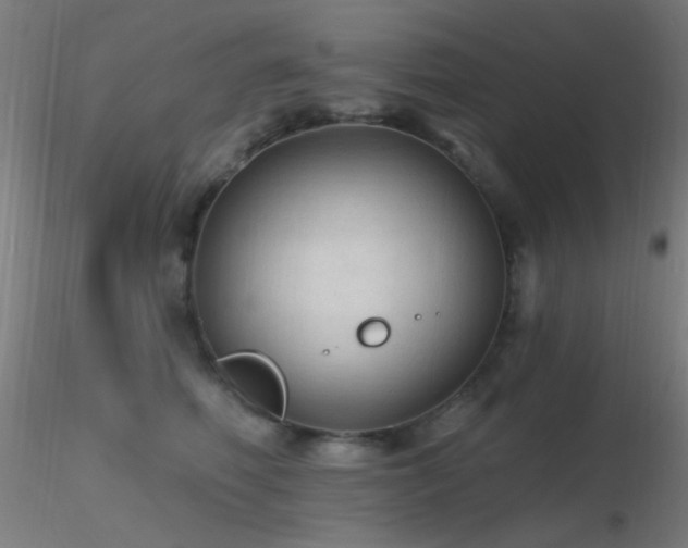 X0000116790614200912181255