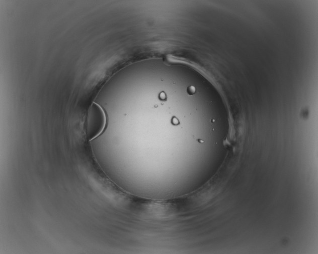 X0000116790615200912181255