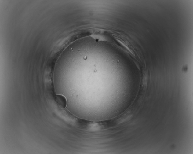 X0000116790616200912181255