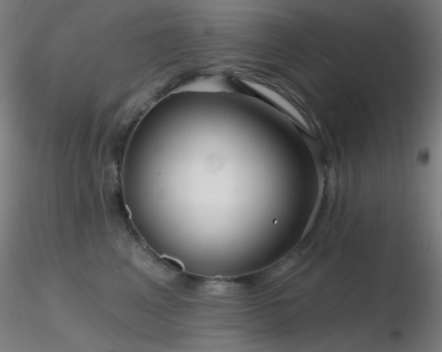 X0000116790617200912181255