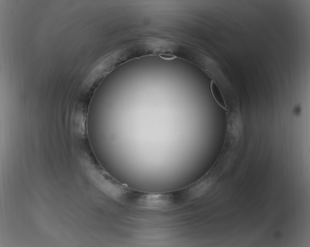 X0000116790622200912181255