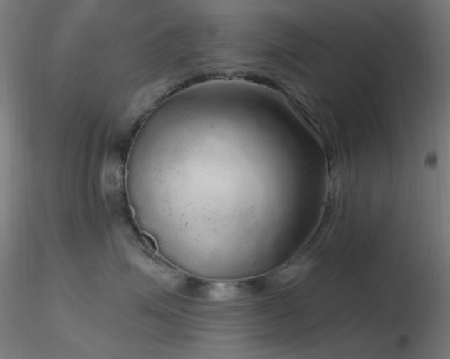 X0000116790623200912181255