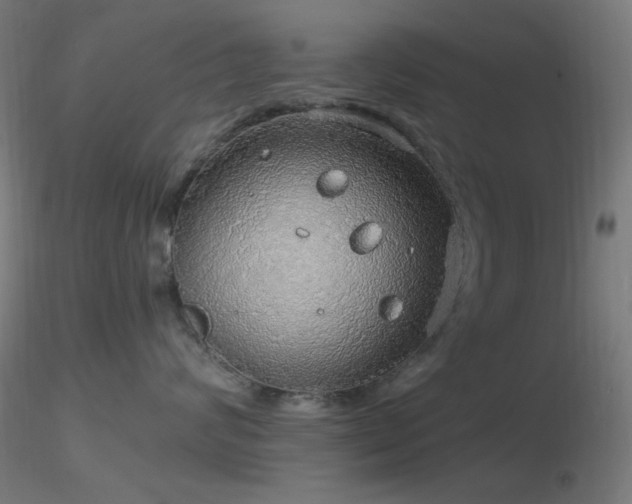 X0000116790624200912181255