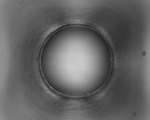 X0000116790625200912181255