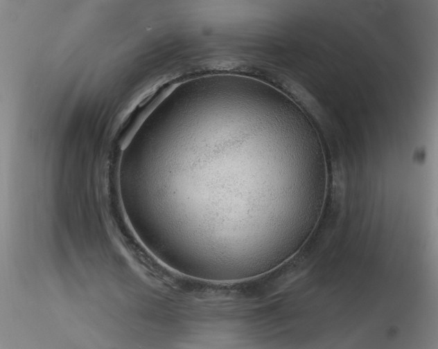 X0000116790626200912181255