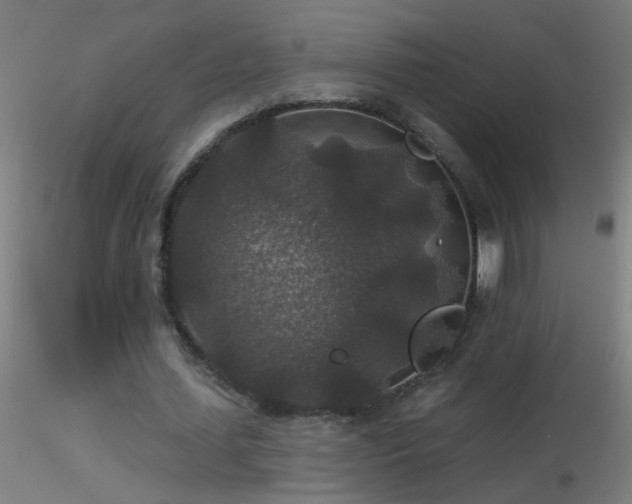 X0000116790627200912181255