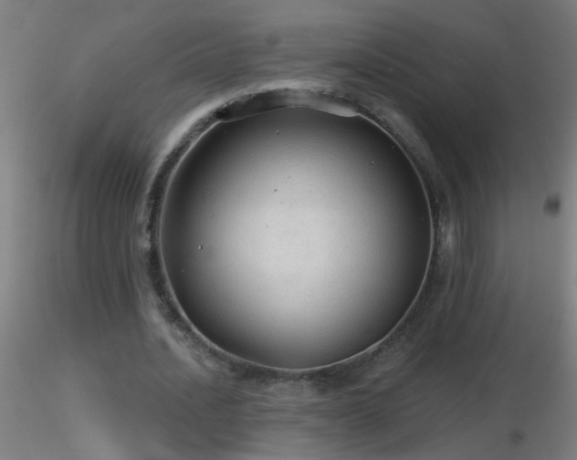 X0000116790628200912181255