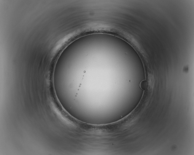 X0000116790629200912181255