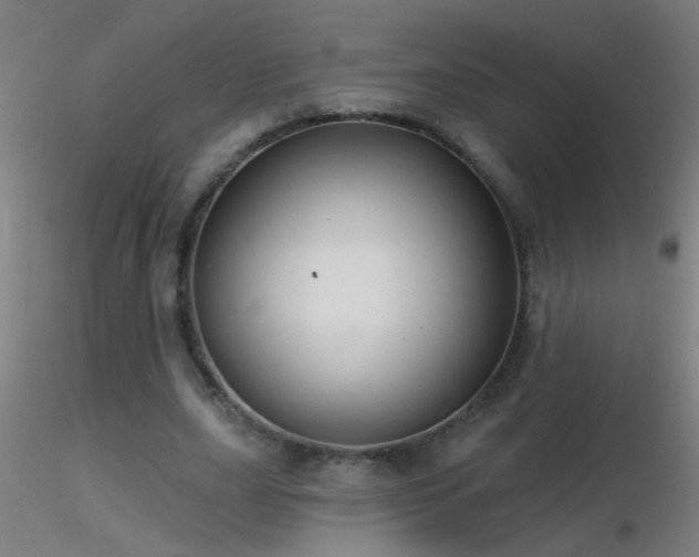 X0000116790631200912181255