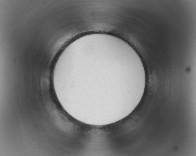 X0000116790632200912181255