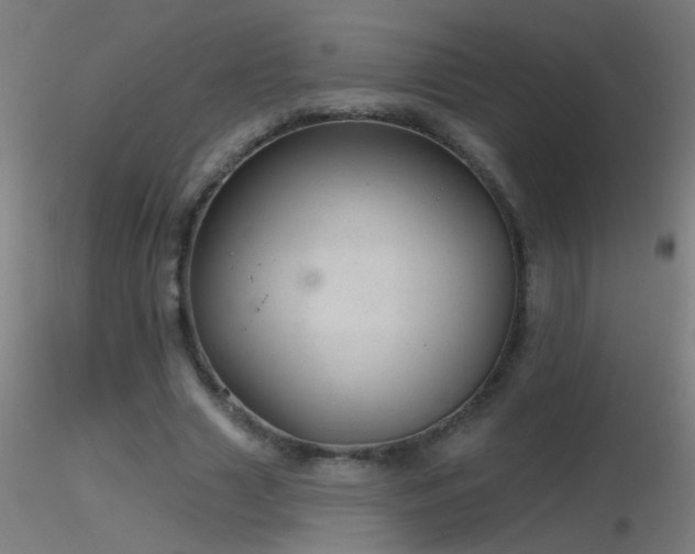 X0000116790633200912181255