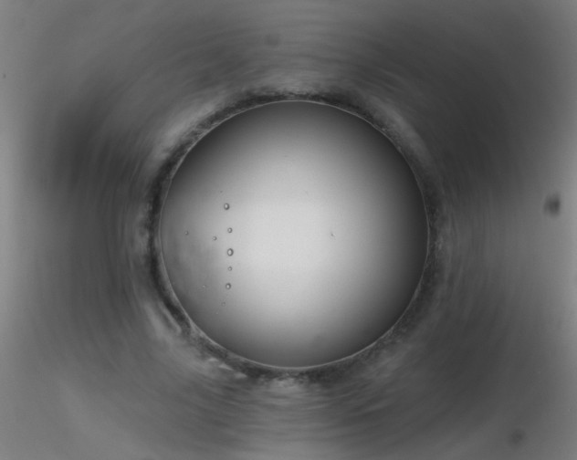 X0000116790635200912181255