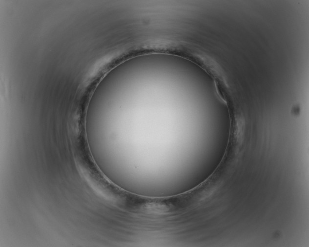 X0000116790636200912181255