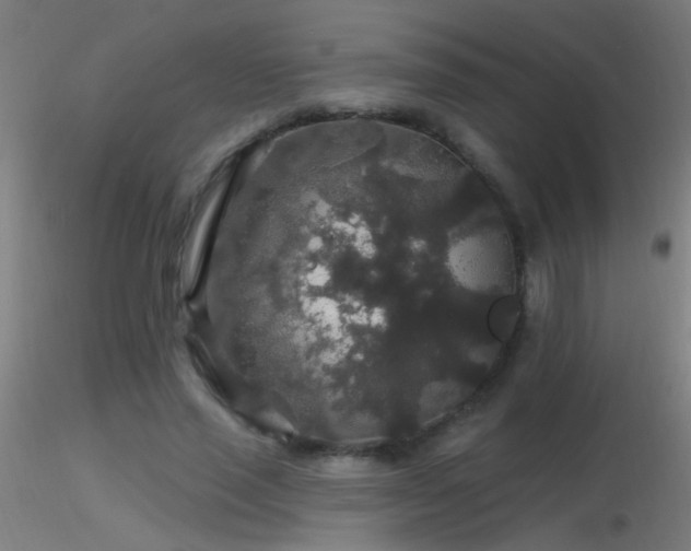 X0000116790637200912181255