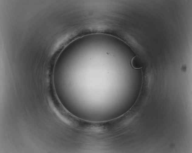 X0000116790638200912181255