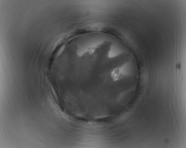 X0000116790641200912181255