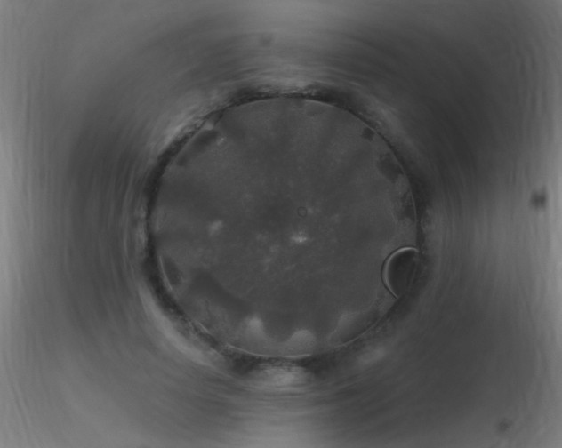 X0000116790642200912181255