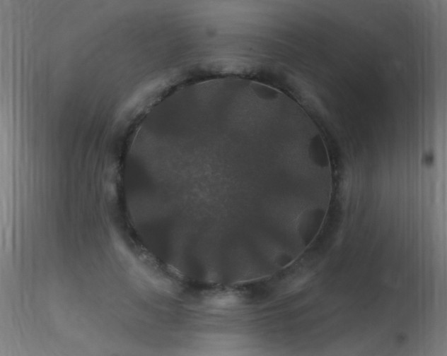 X0000116790643200912181255