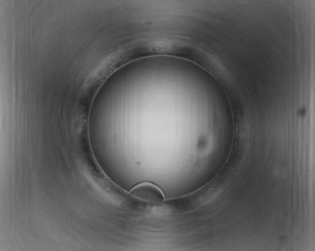 X0000116790645200912181255
