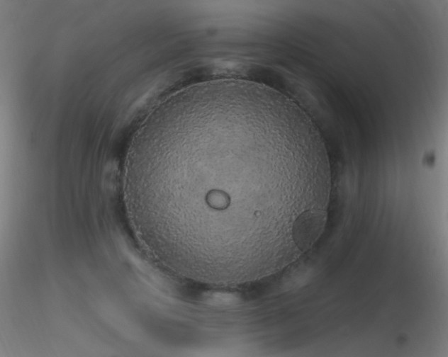 X0000116790649200912181255