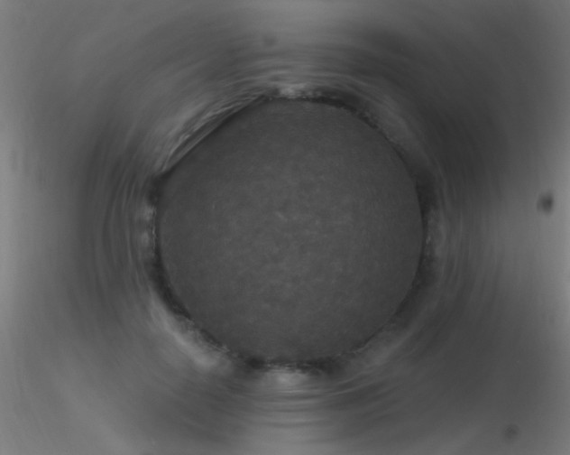 X0000116790650200912181255