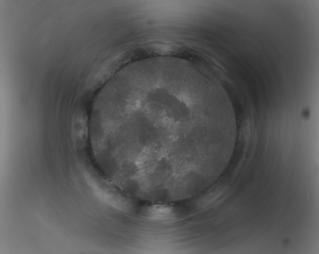 X0000116790651200912181255