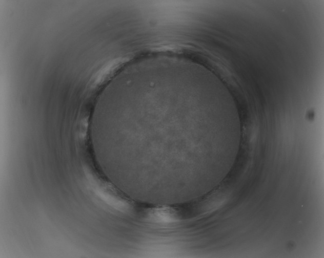 X0000116790652200912181255
