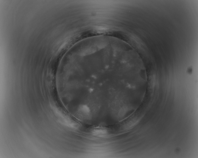 X0000116790653200912181255