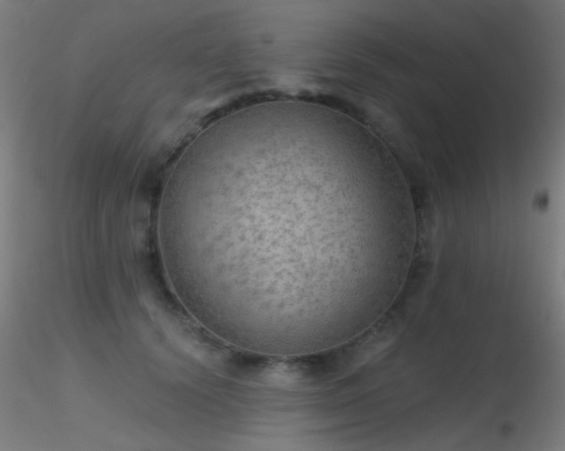 X0000116790656200912181255