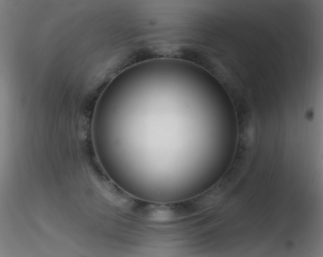 X0000116790658200912181255