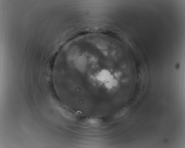 X0000116790659200912181255
