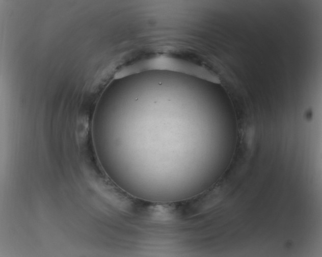 X0000116790660200912181255