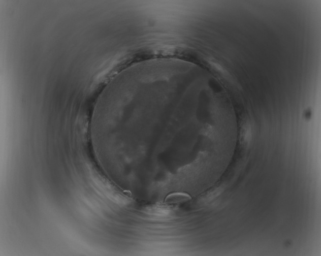 X0000116790661200912181255