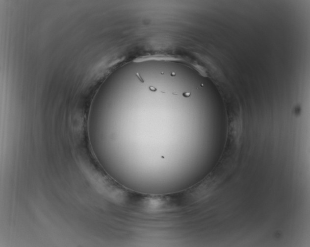X0000116790662200912181255